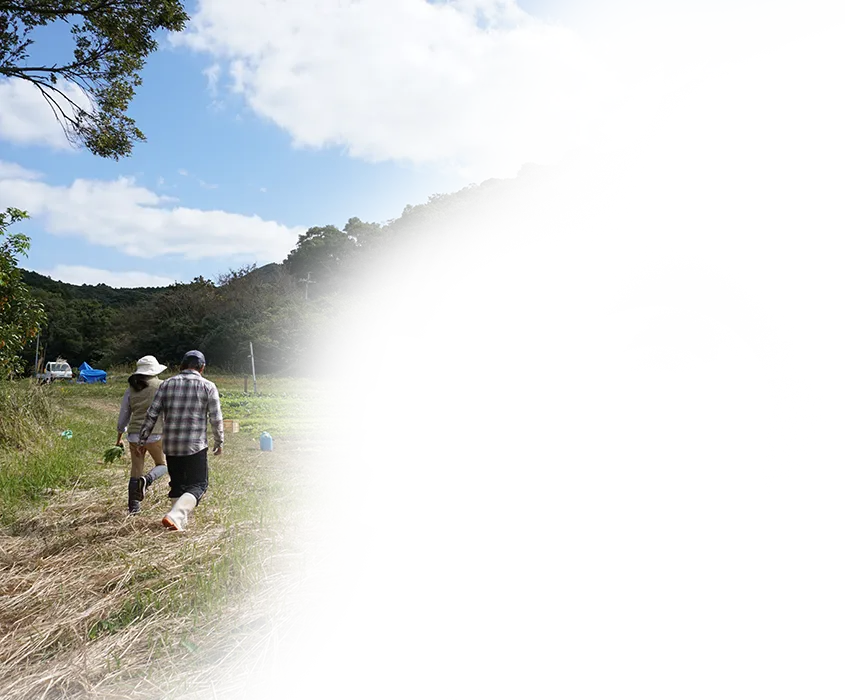 畑へ向かう二人