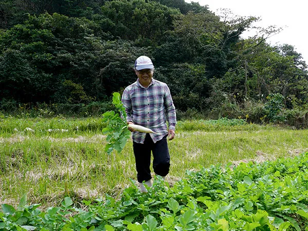 畑で収穫した大根を手にする農園主