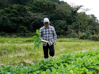 畑に立つまさる